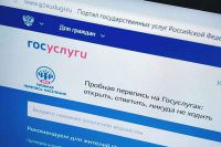 Первые результаты интернет-переписи населения в России
