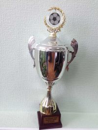 Кубок Собинского района по футболу 2014 года